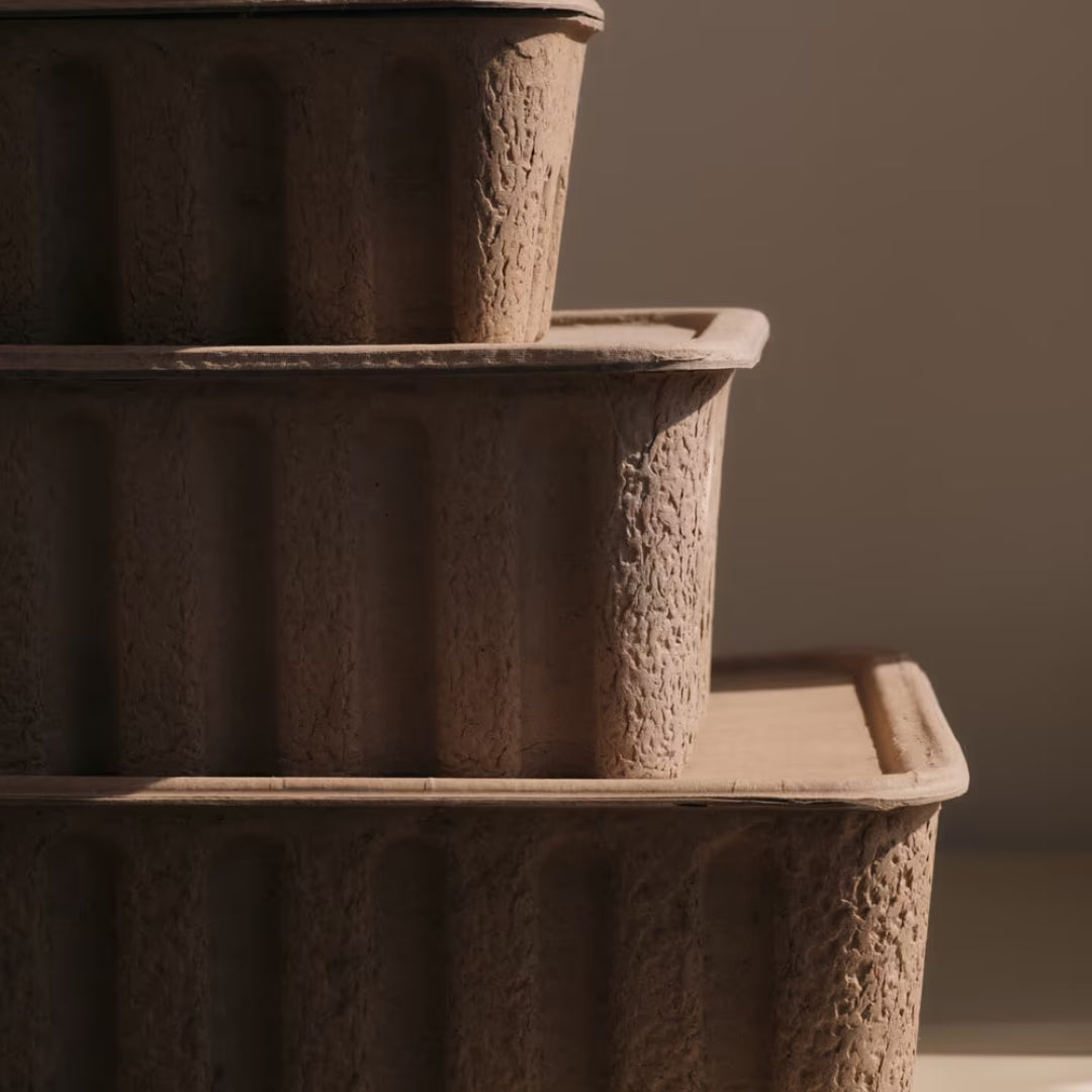 Large Paper Pulp Boxes | Set of 2 - Batten Home