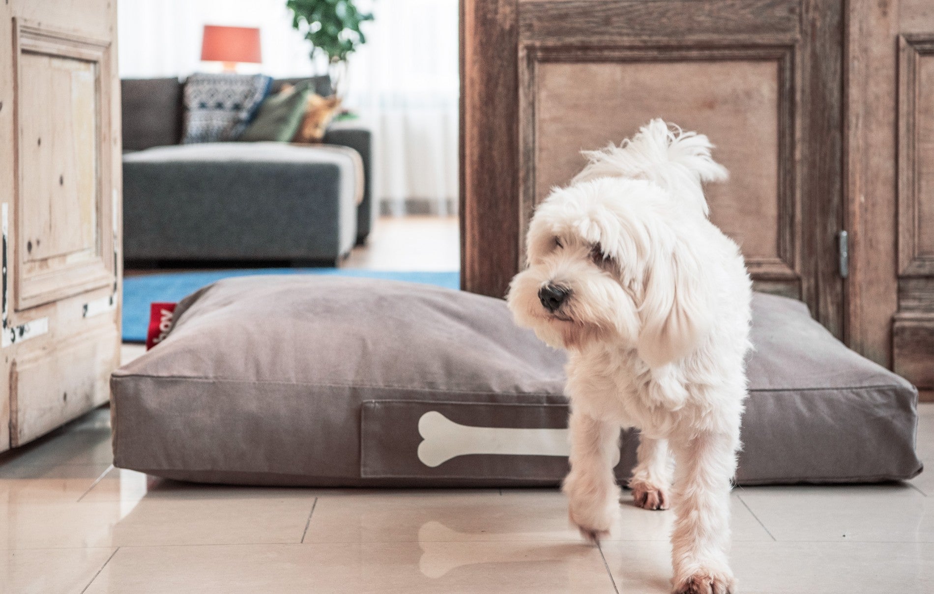 Doggielounge Stonewashed Large Dog Bed