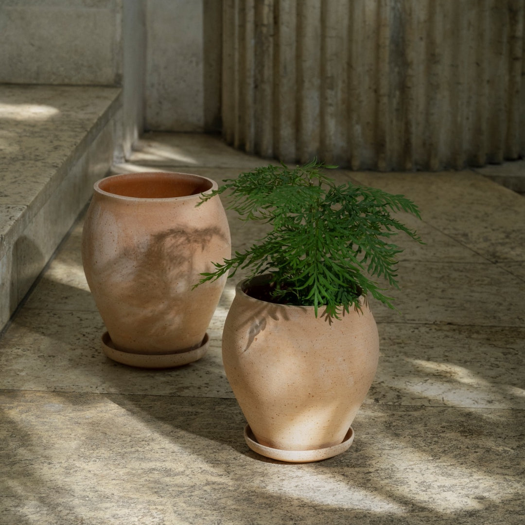 Delphi Pot