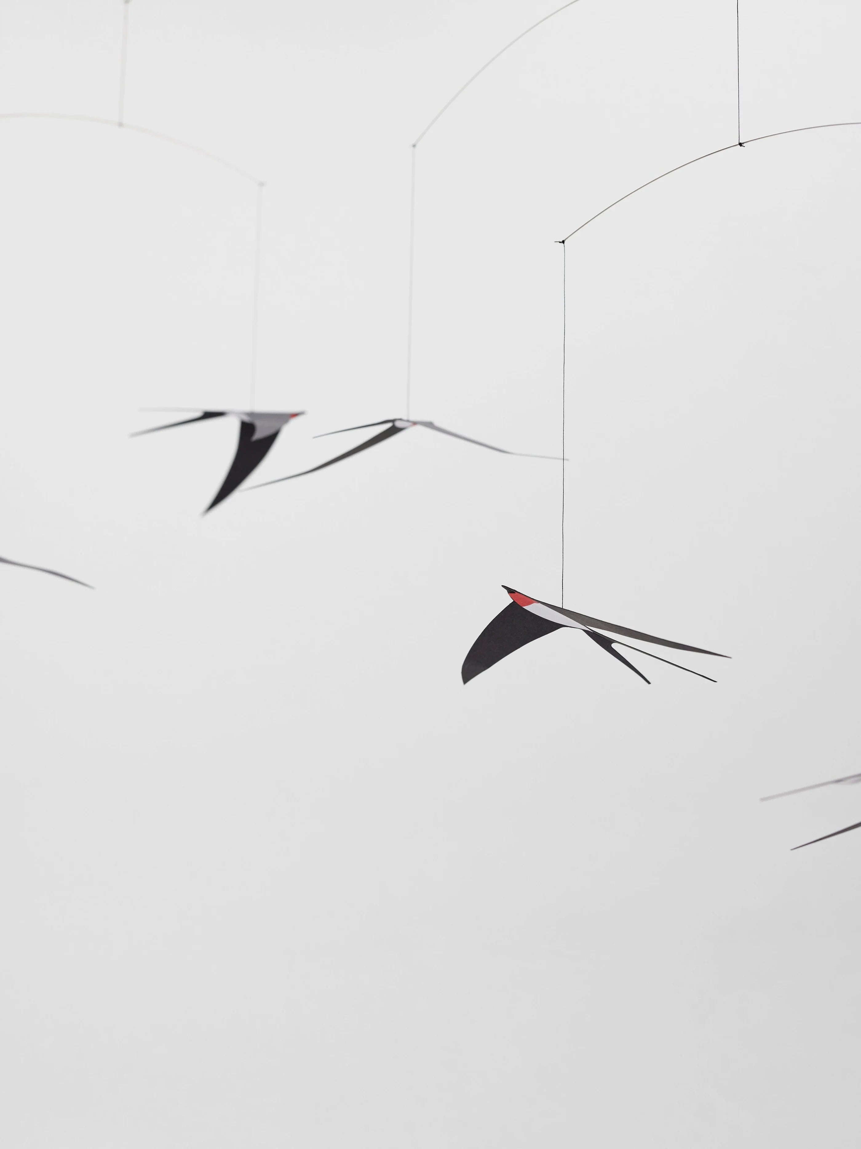 5 Flying Swallows Mobile