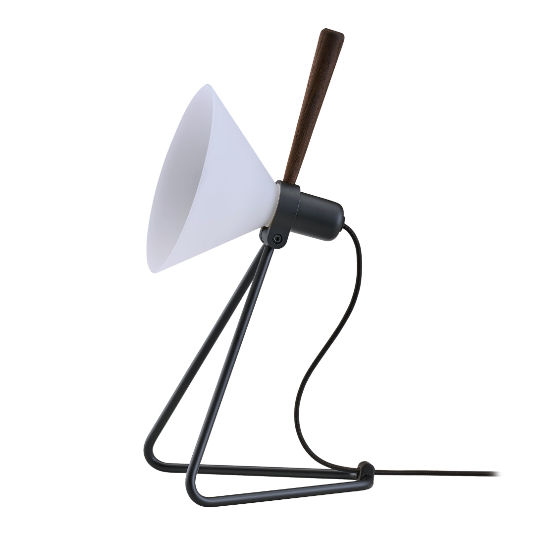 Spot Wall/Table Lamp