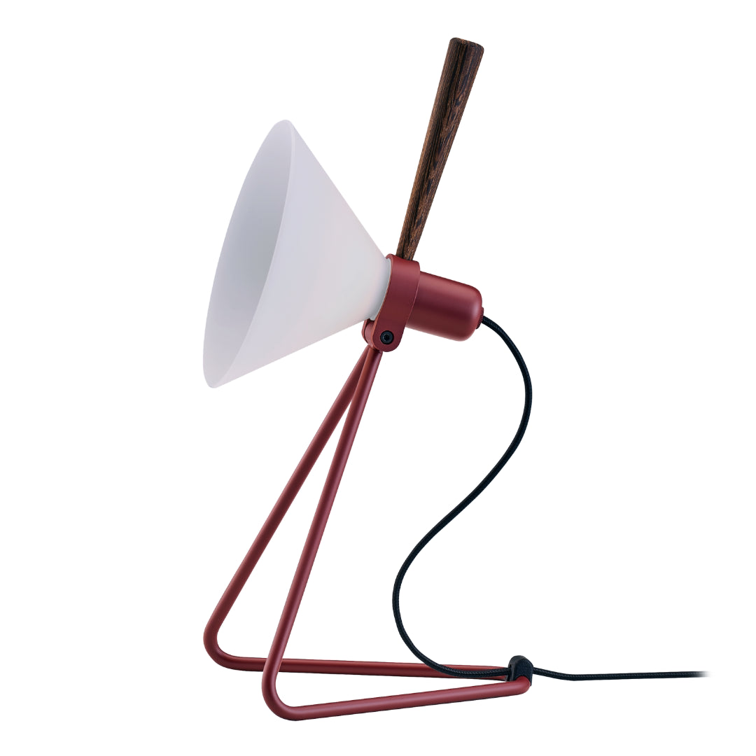 Spot Wall/Table Lamp