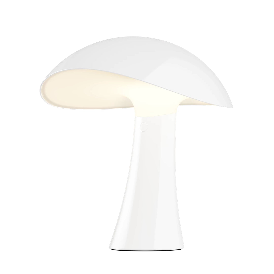 Rumee 220 Portable Lamp
