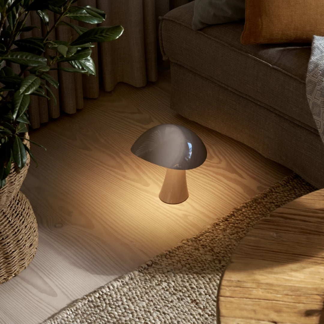 Rumee 220 Portable Lamp