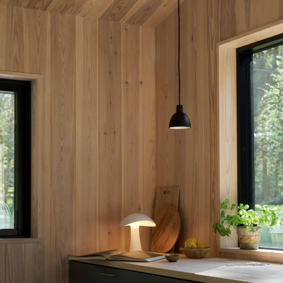 Rumee 220 Portable Lamp