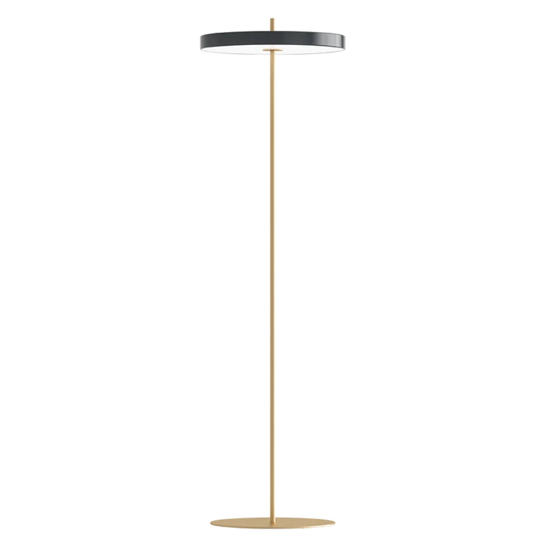 Asteria Floor Lamp