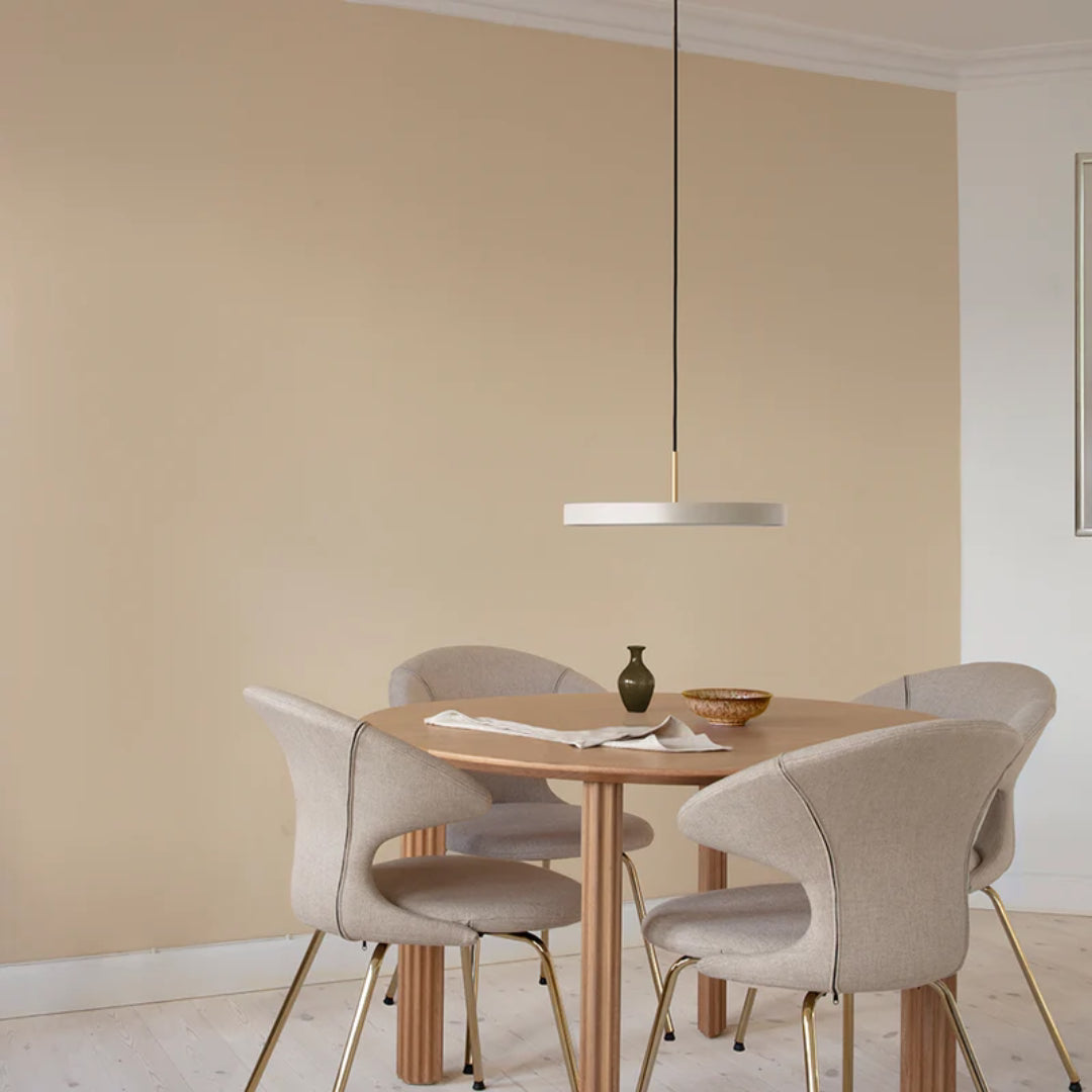 Asteria Medium Pendant Lamp