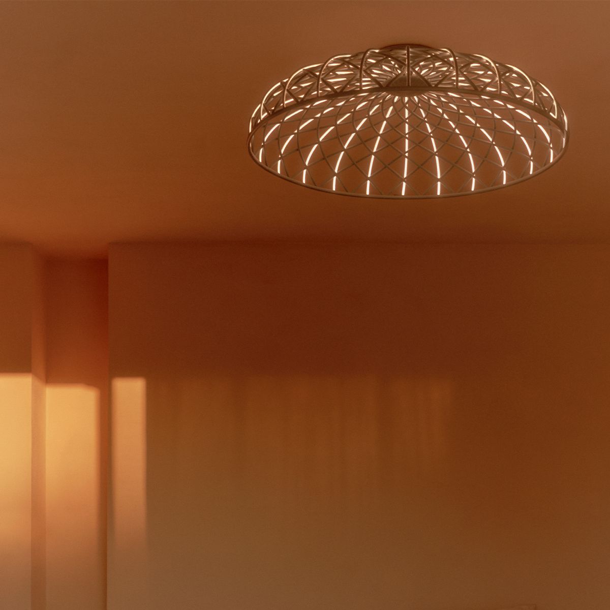 Skynest Ceiling Lamp
