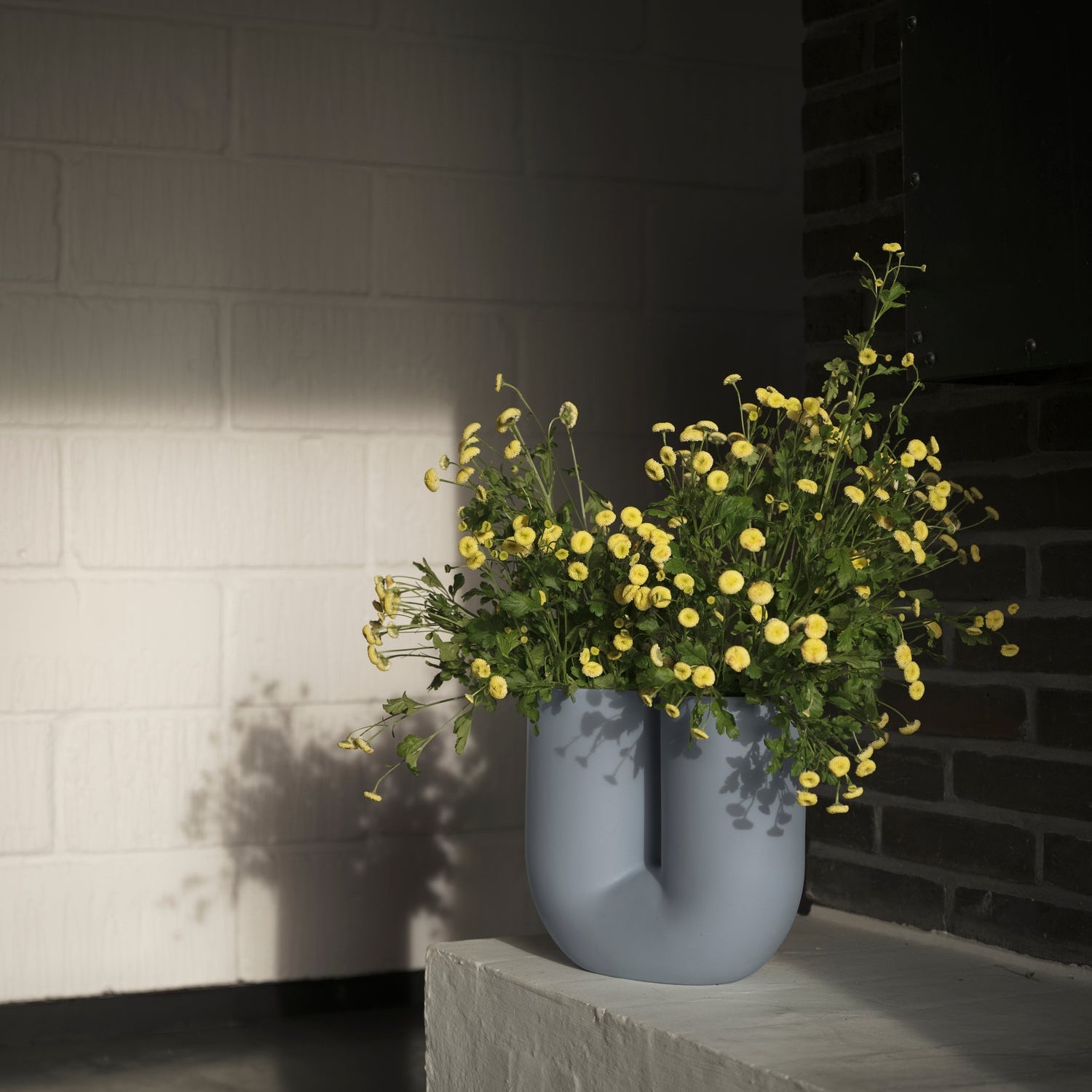 Kink Vase - Batten Home