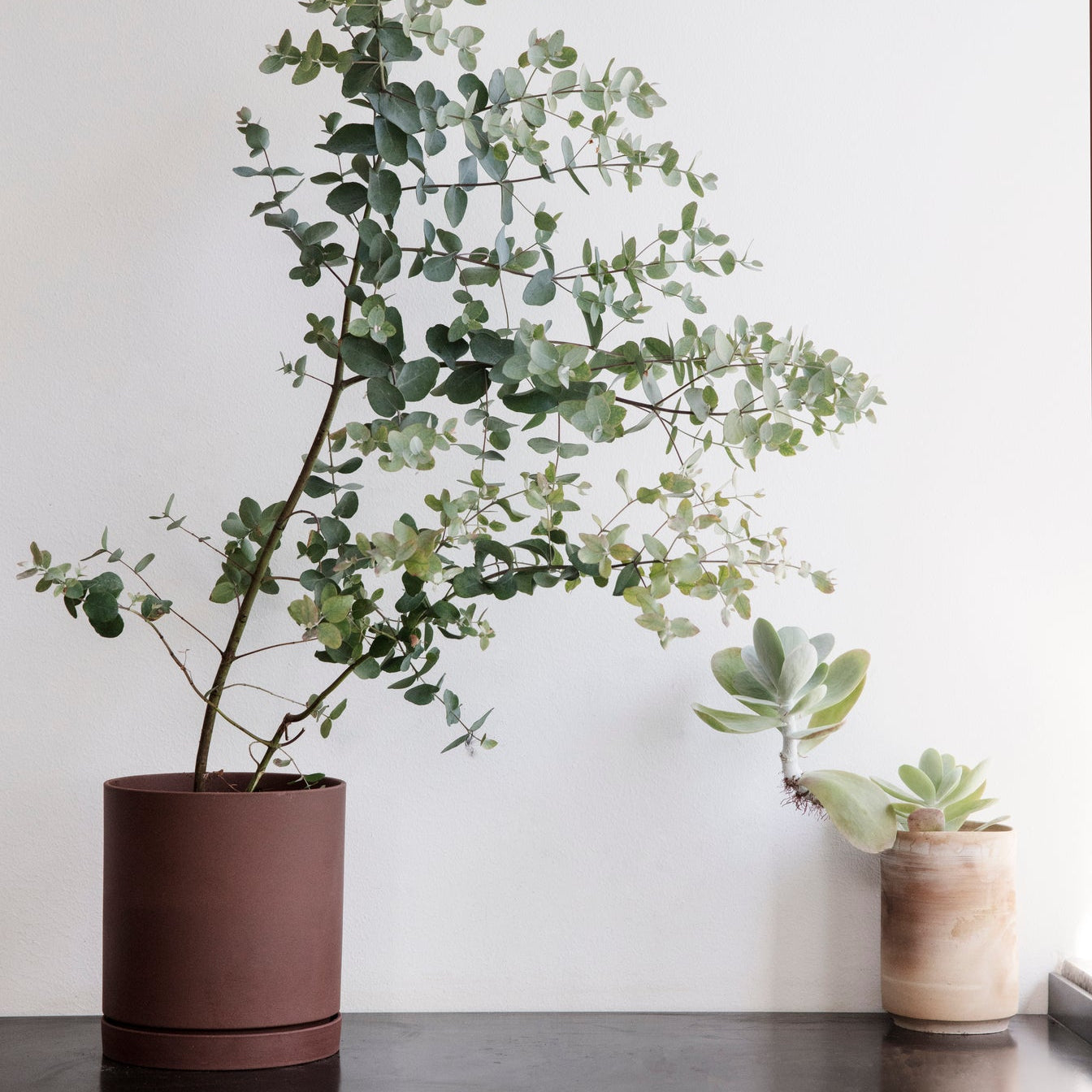 Ferm LivingSekki Pot Medium - Batten Home