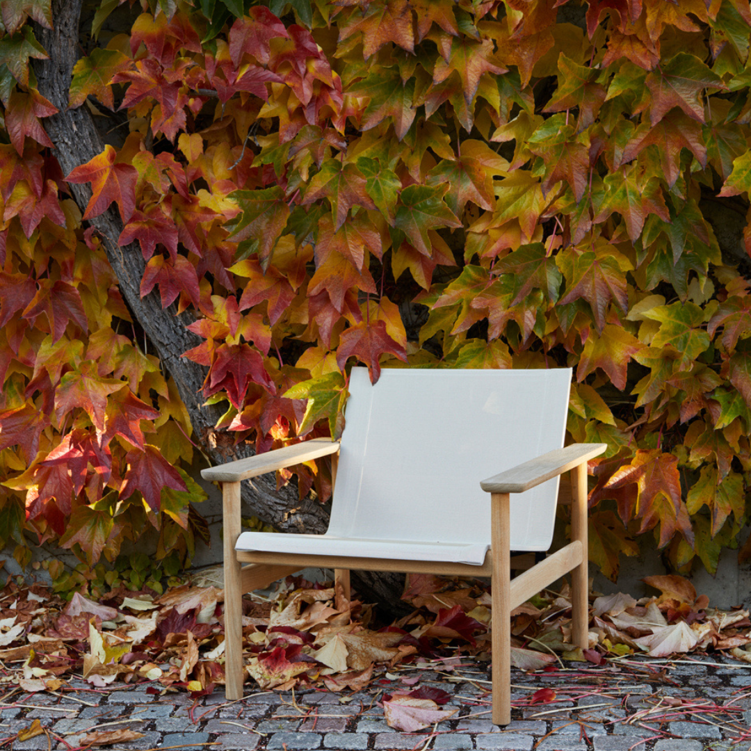 Pelagus Lounge Chair