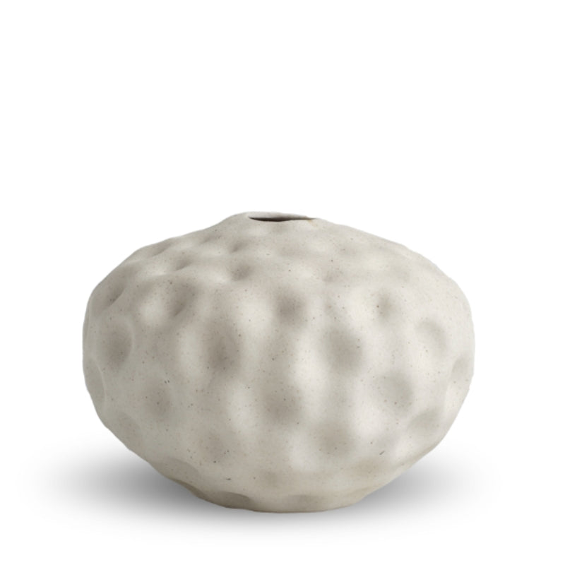 Seedpod Small in Vanilla