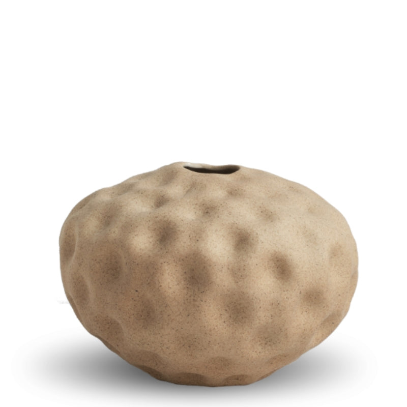 Seedpod Small in Walnut