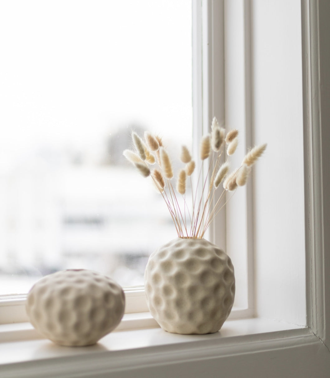 Seedpod Large in Vanilla