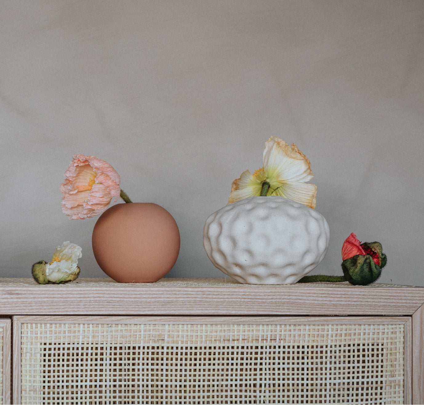 Seedpod Small in Vanilla