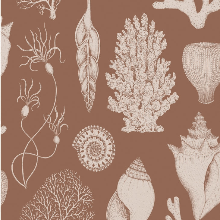Ferm LivingKatie Scott Wallpaper Shells Toffee - Batten Home