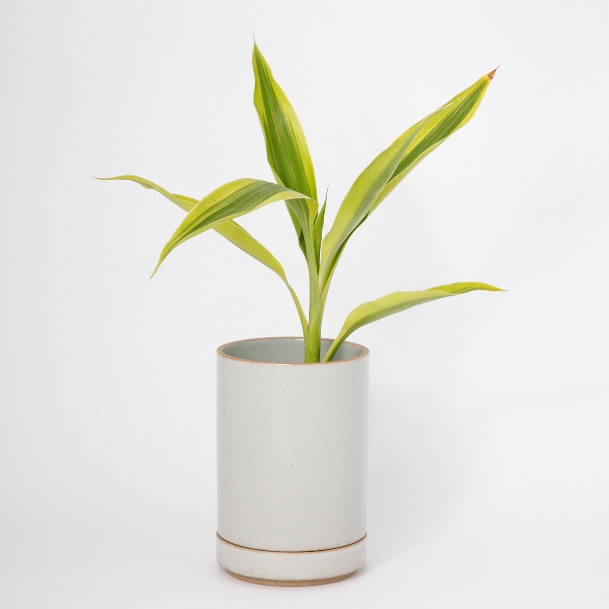 Hasami PorcelainSmall Planter and Saucer Set in Gloss Gray - Batten Home