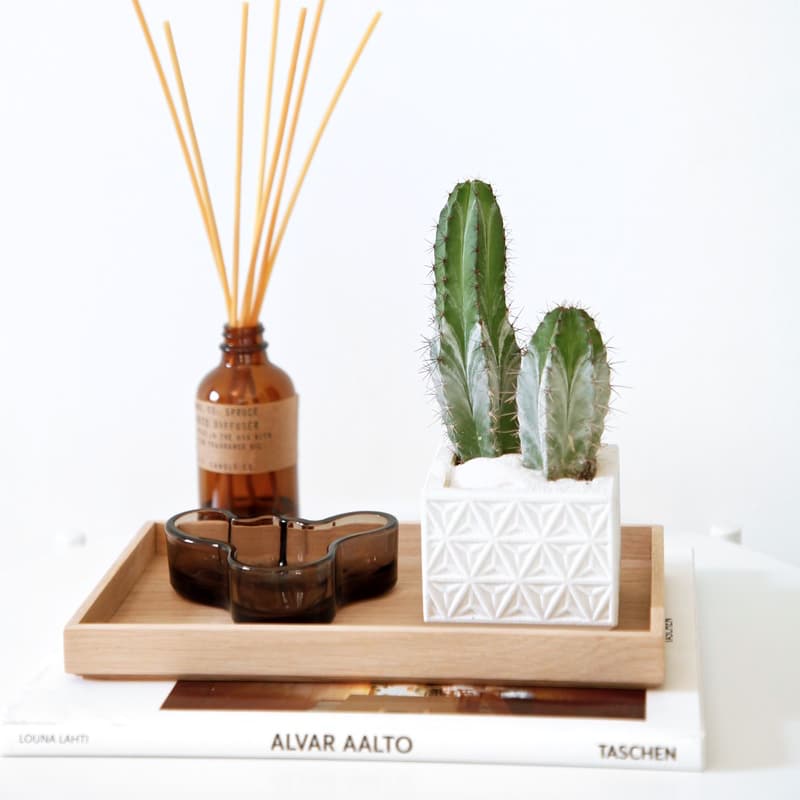 SkagerakNomad Tray - Batten Home