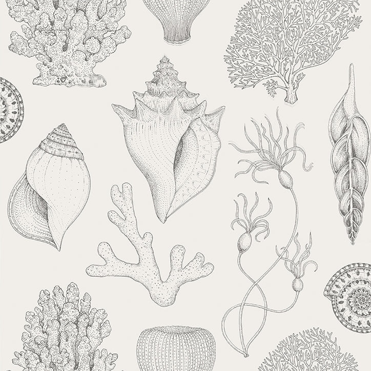 Ferm LivingKatie Scott Shells Wallpaper Off White - Batten Home