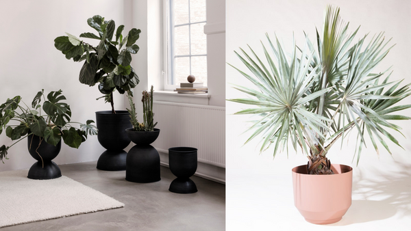 Gift Guide For Plant Lovers