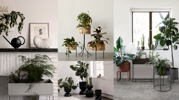 Our Favorite Modern Plant Pots