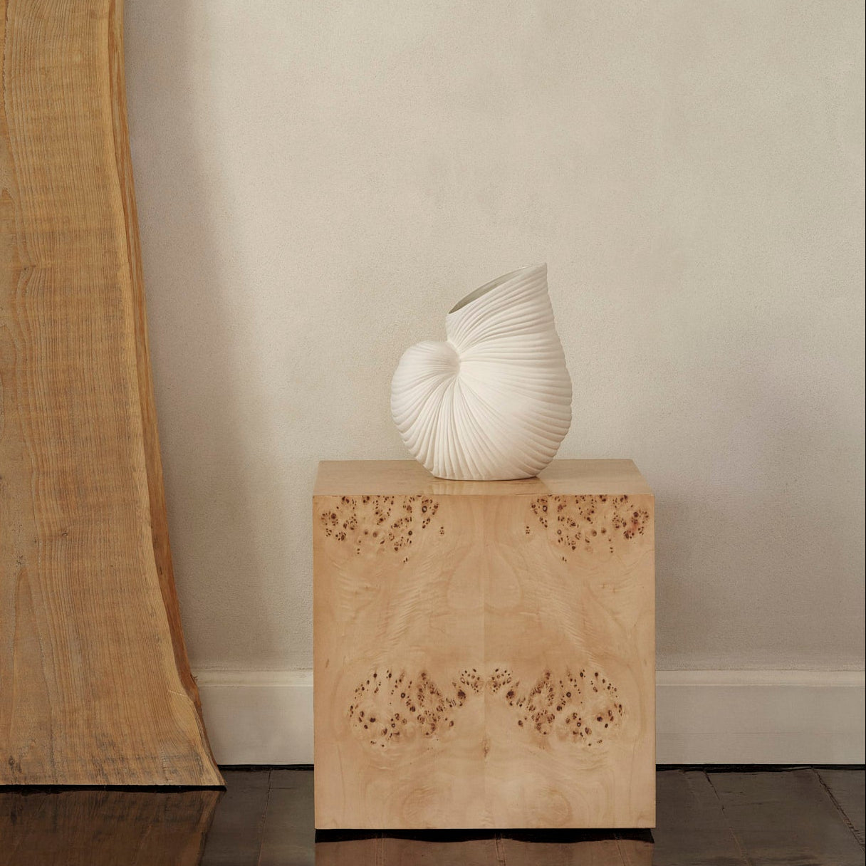 Shell Vase