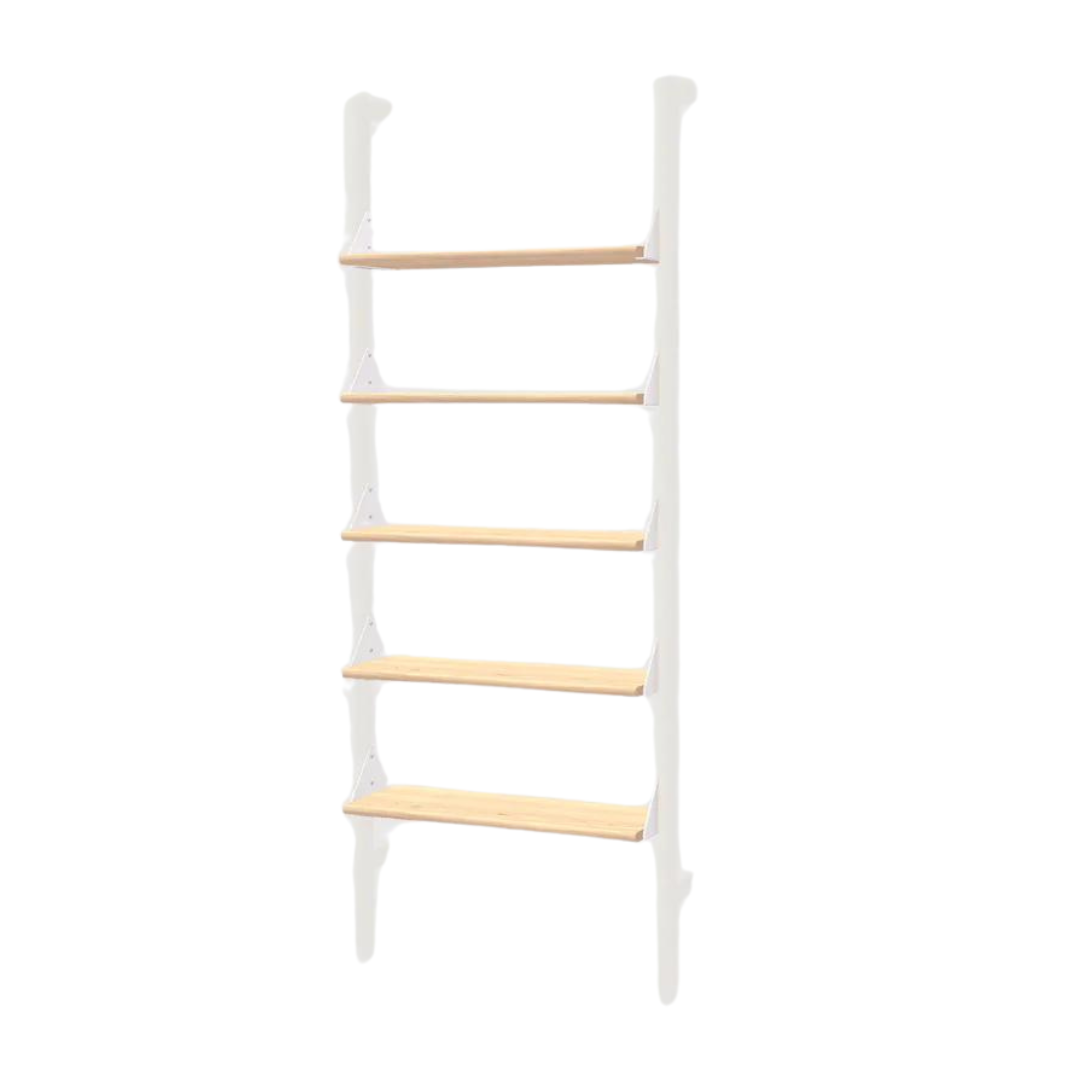 Branch Modular Shelf 5-Pack