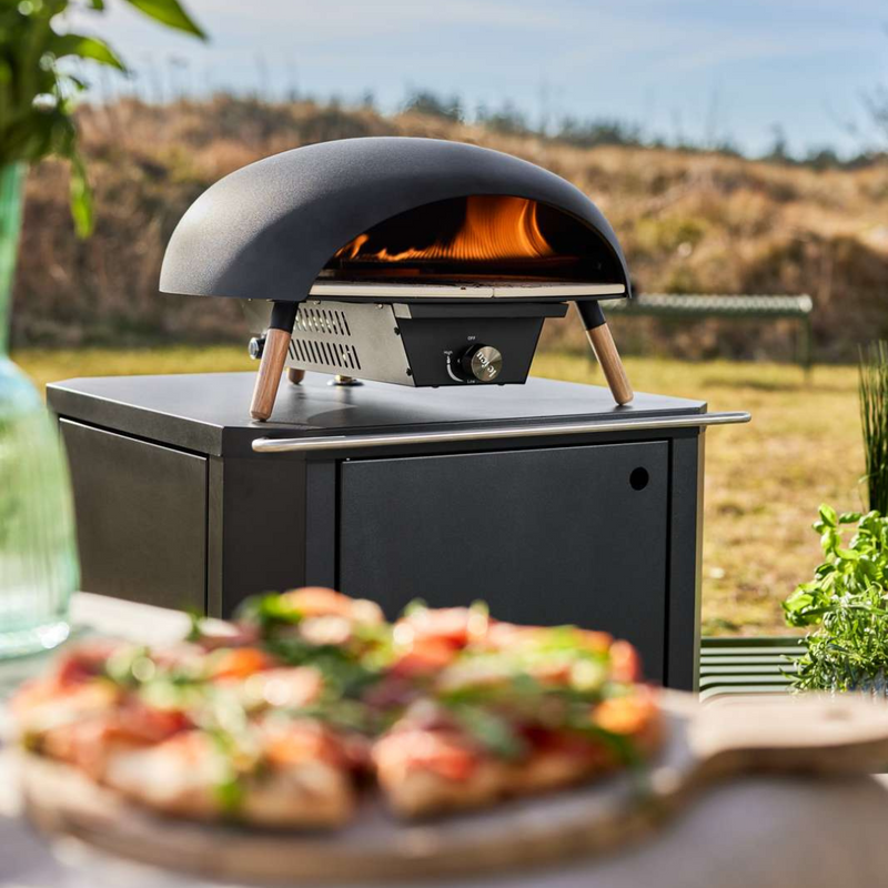 Le Feu Turtle Gas Powered Pizza Oven