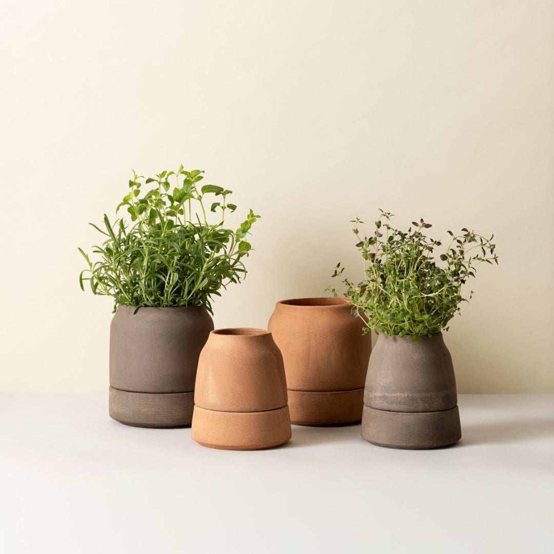 Bergs Potter Viva Self-Watering Herb Pot - Batten Home