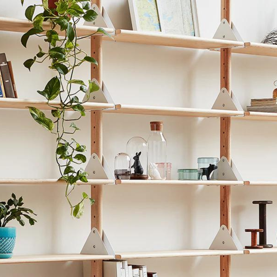 Branch Modular Shelf