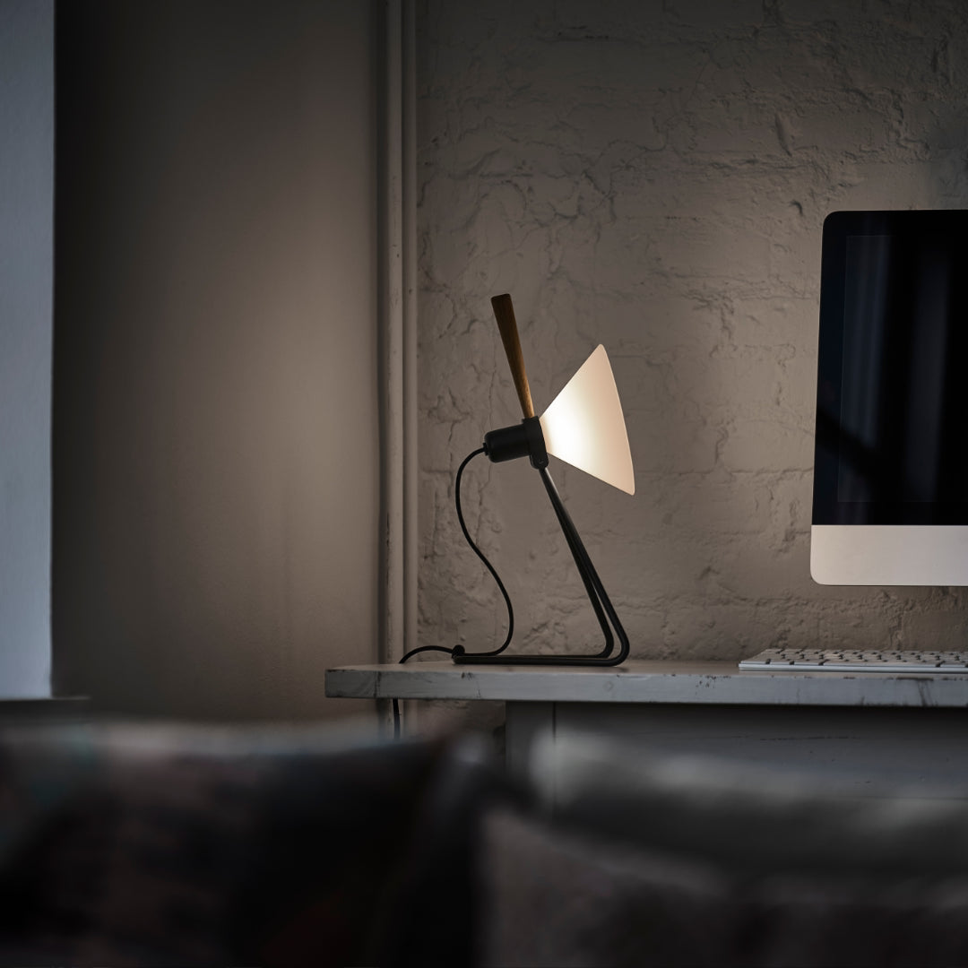 Spot Wall/Table Lamp