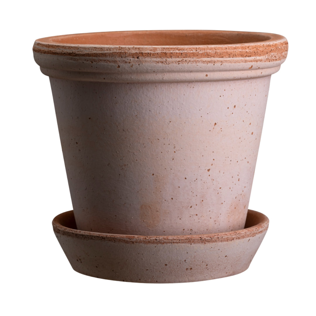 Flora Pot