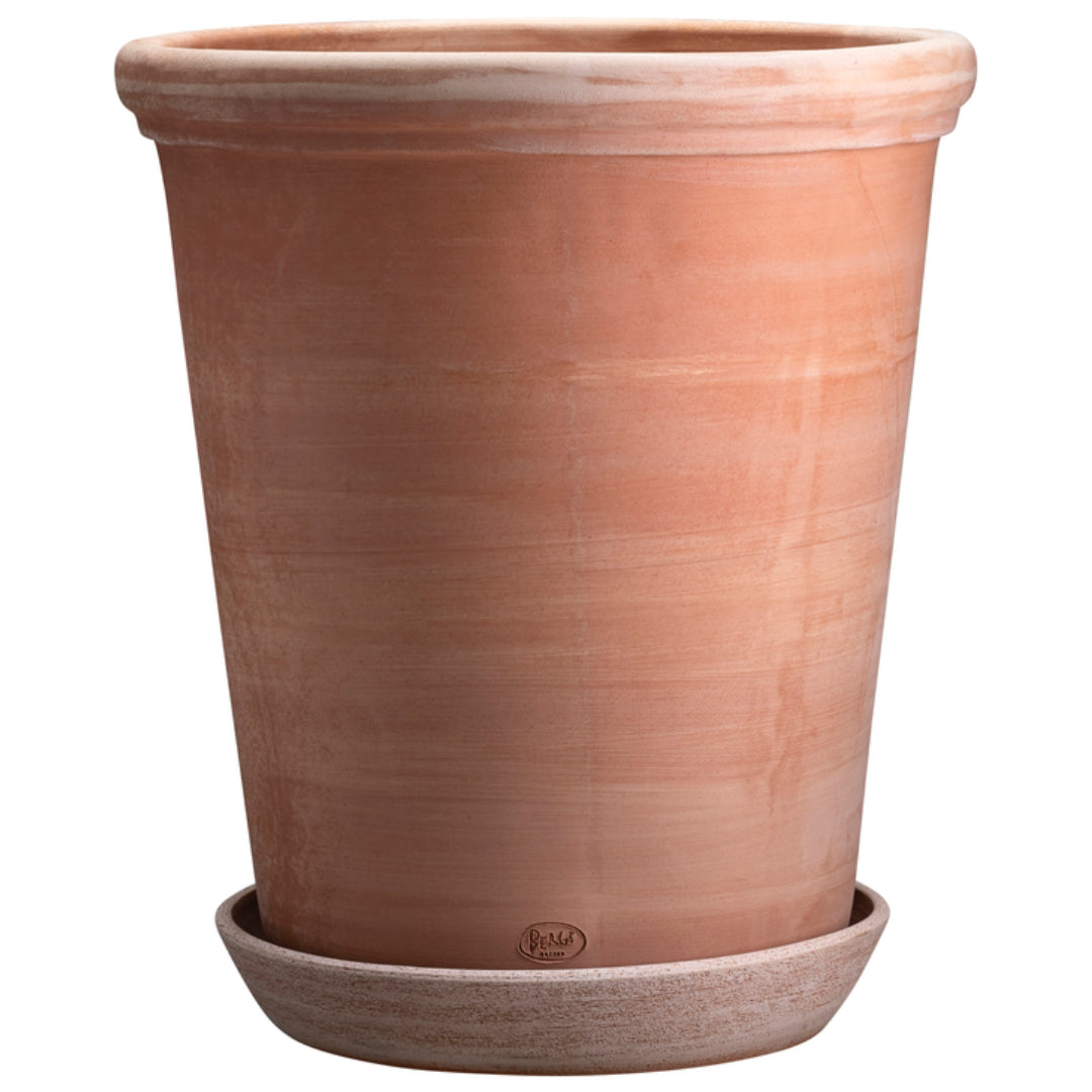 Flora Pot