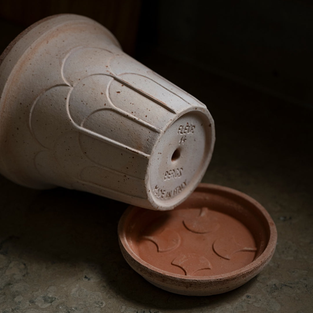 Fleur Pot