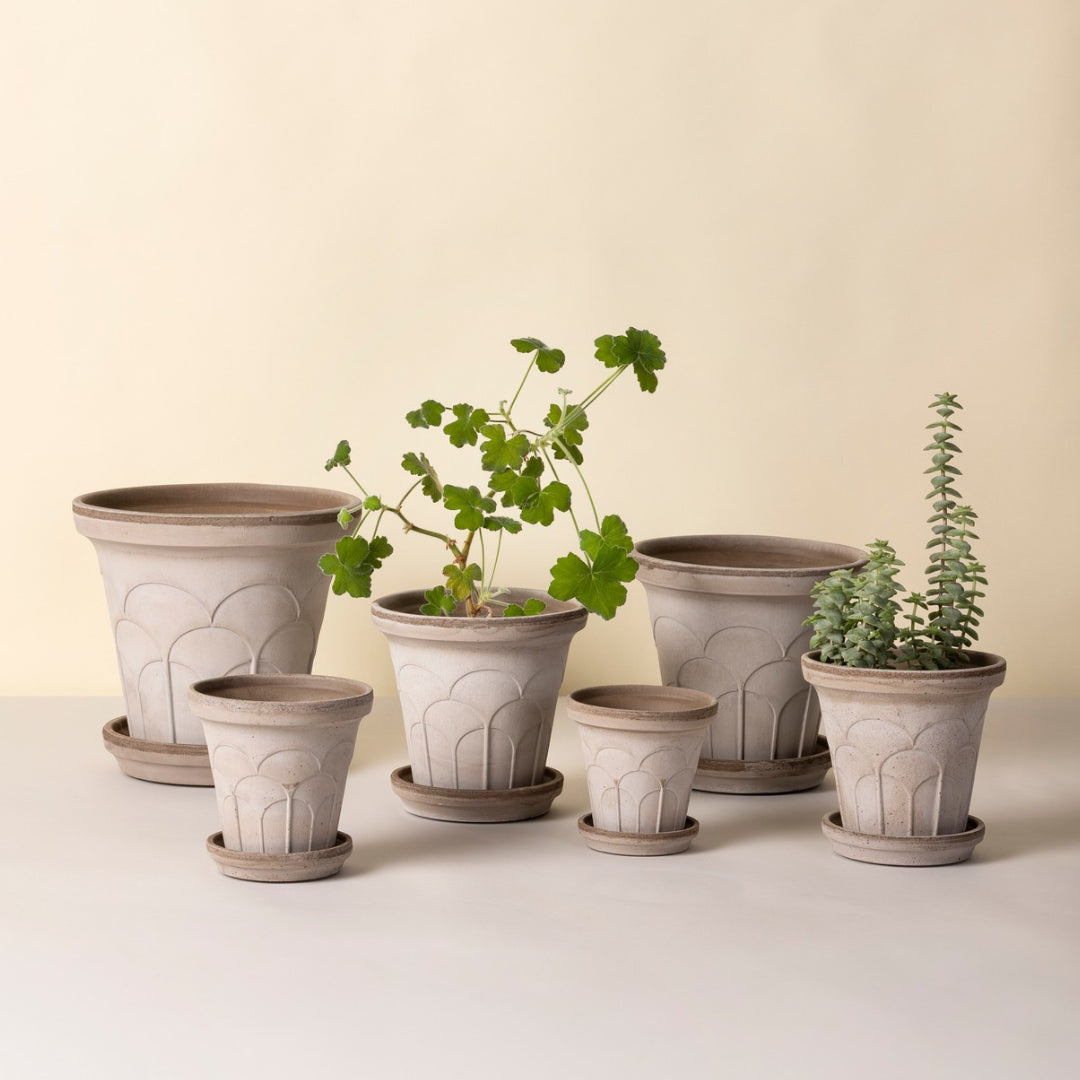 Fleur Pot
