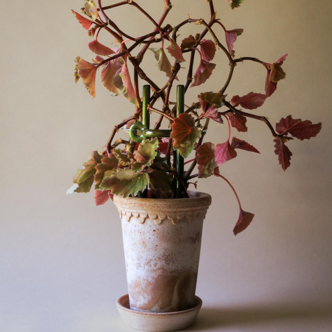 Folk Plant Stake - Hinto