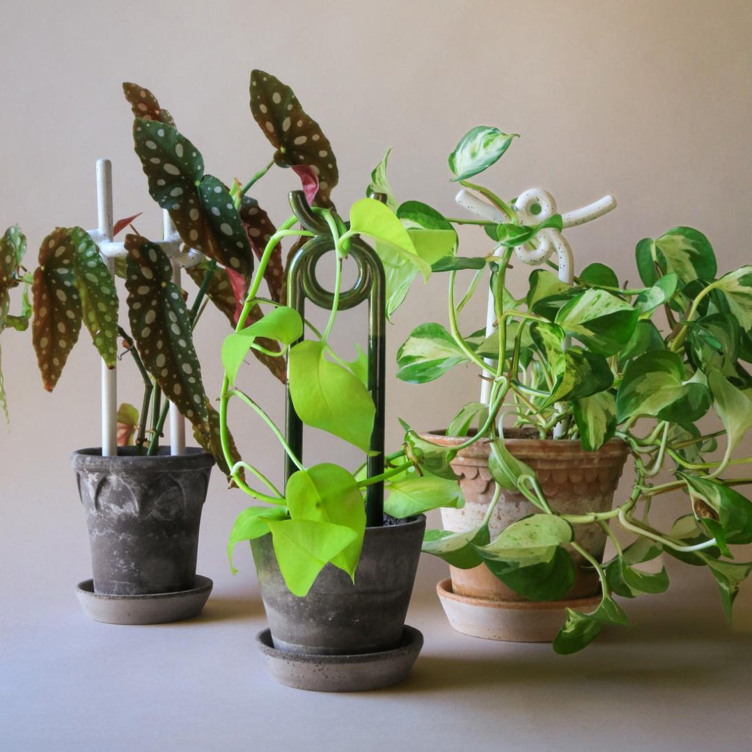 Folk Plant Stake - Hinto