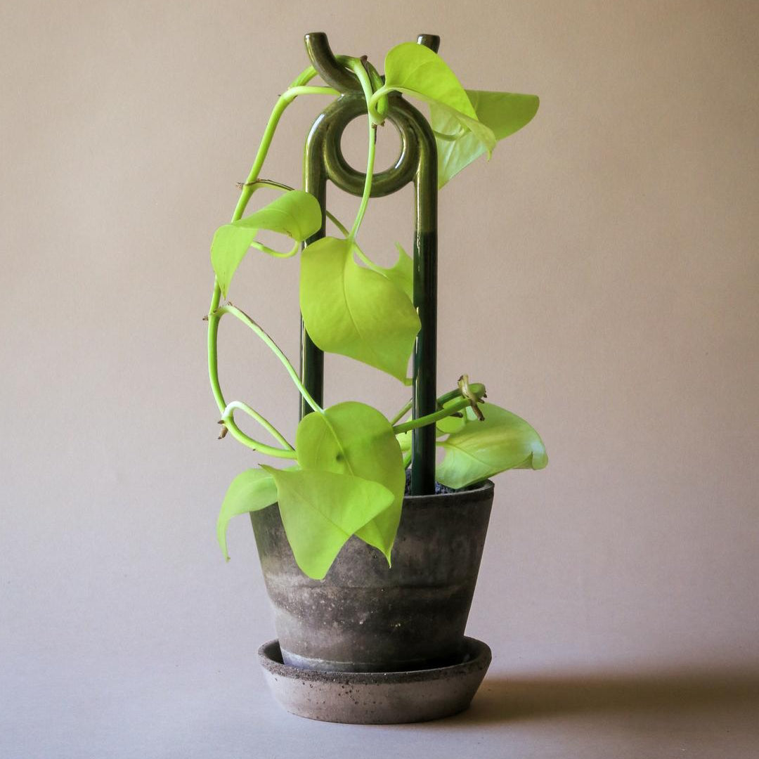 Folk Plant Stake - Oni