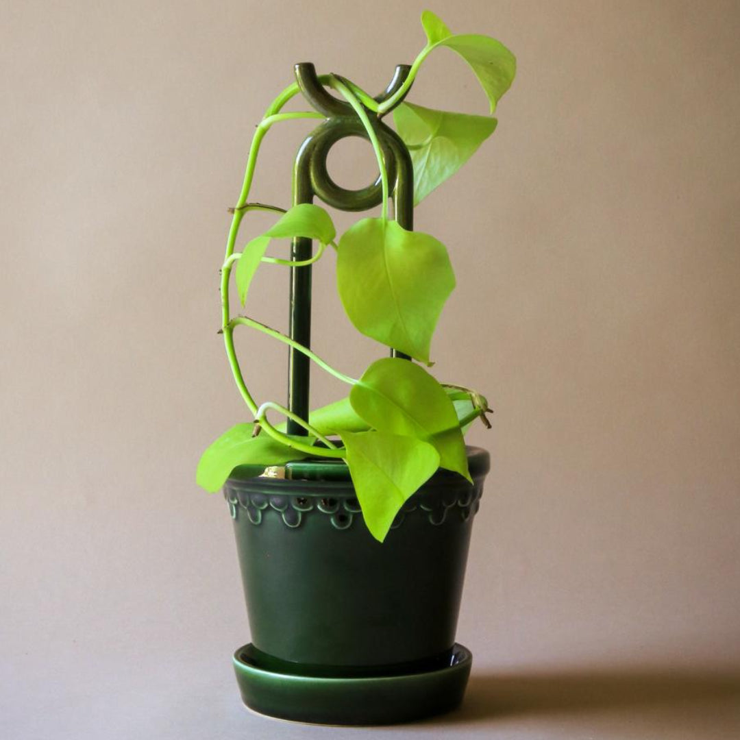 Folk Plant Stake - Oni