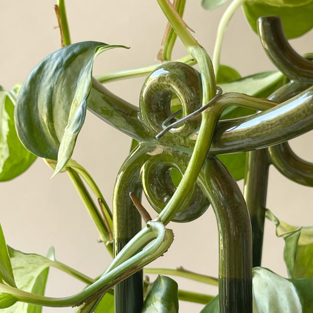 Folk Plant Stake - Yuma