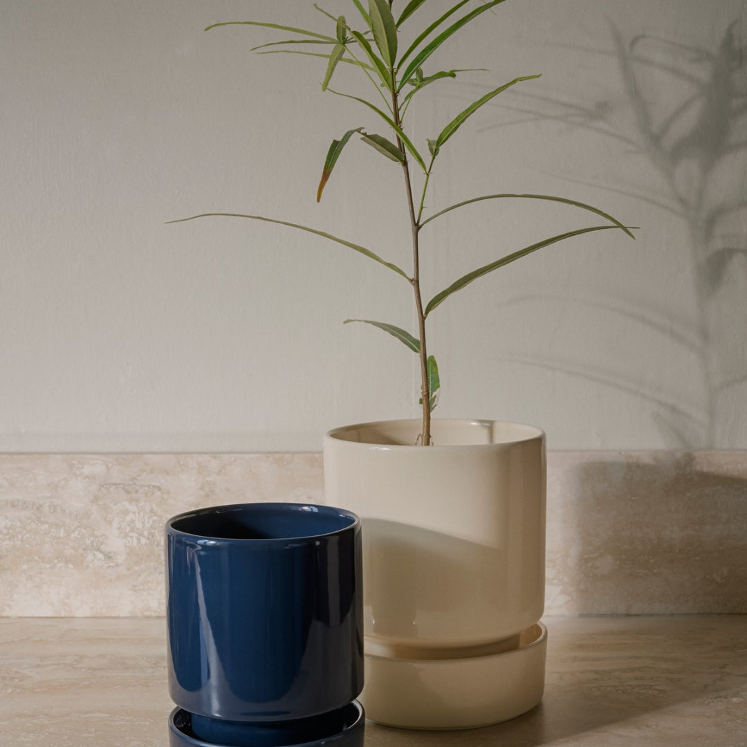 Hoff Glazed Pot - Sandstone Set