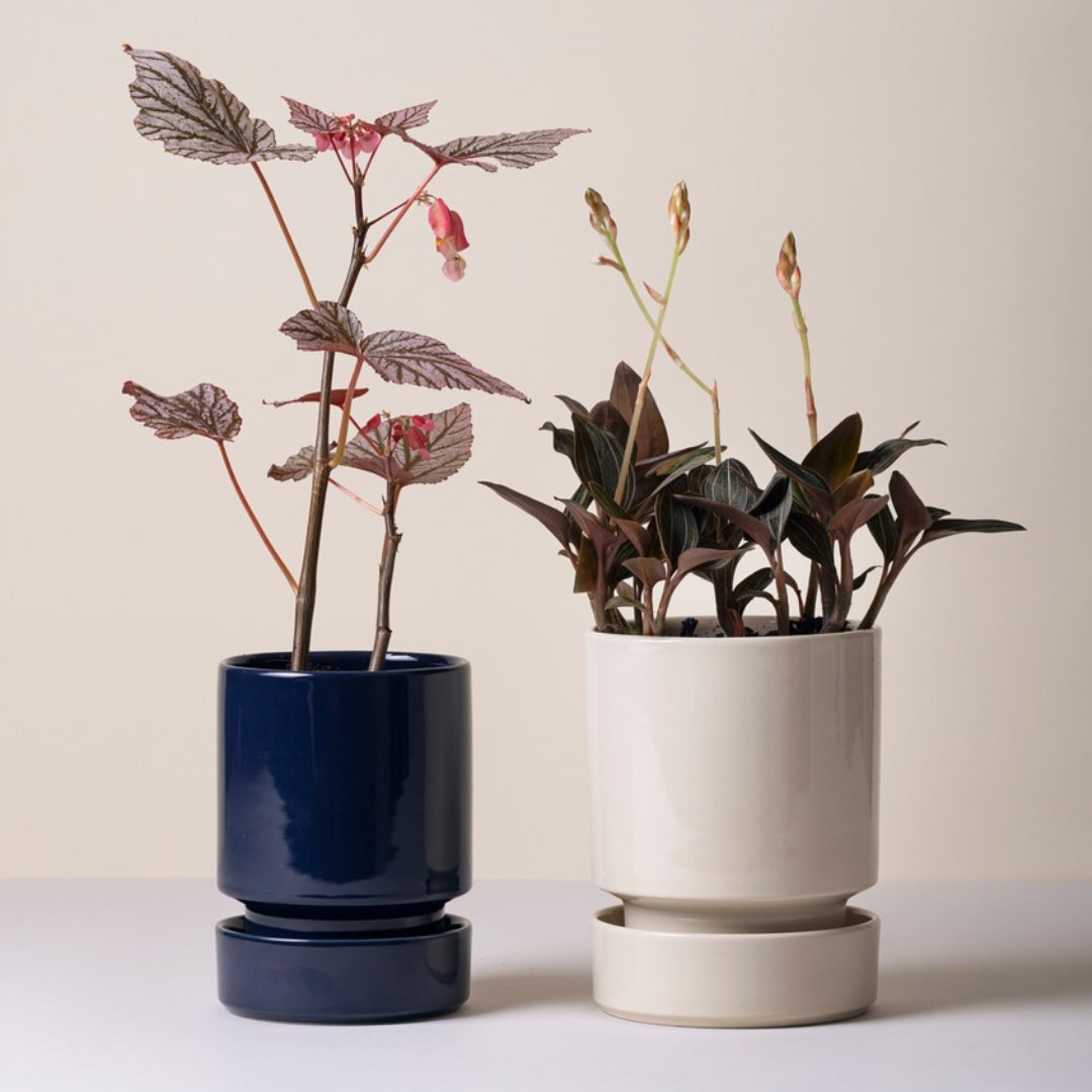 Hoff Glazed Pot - Sapphire Blue Set