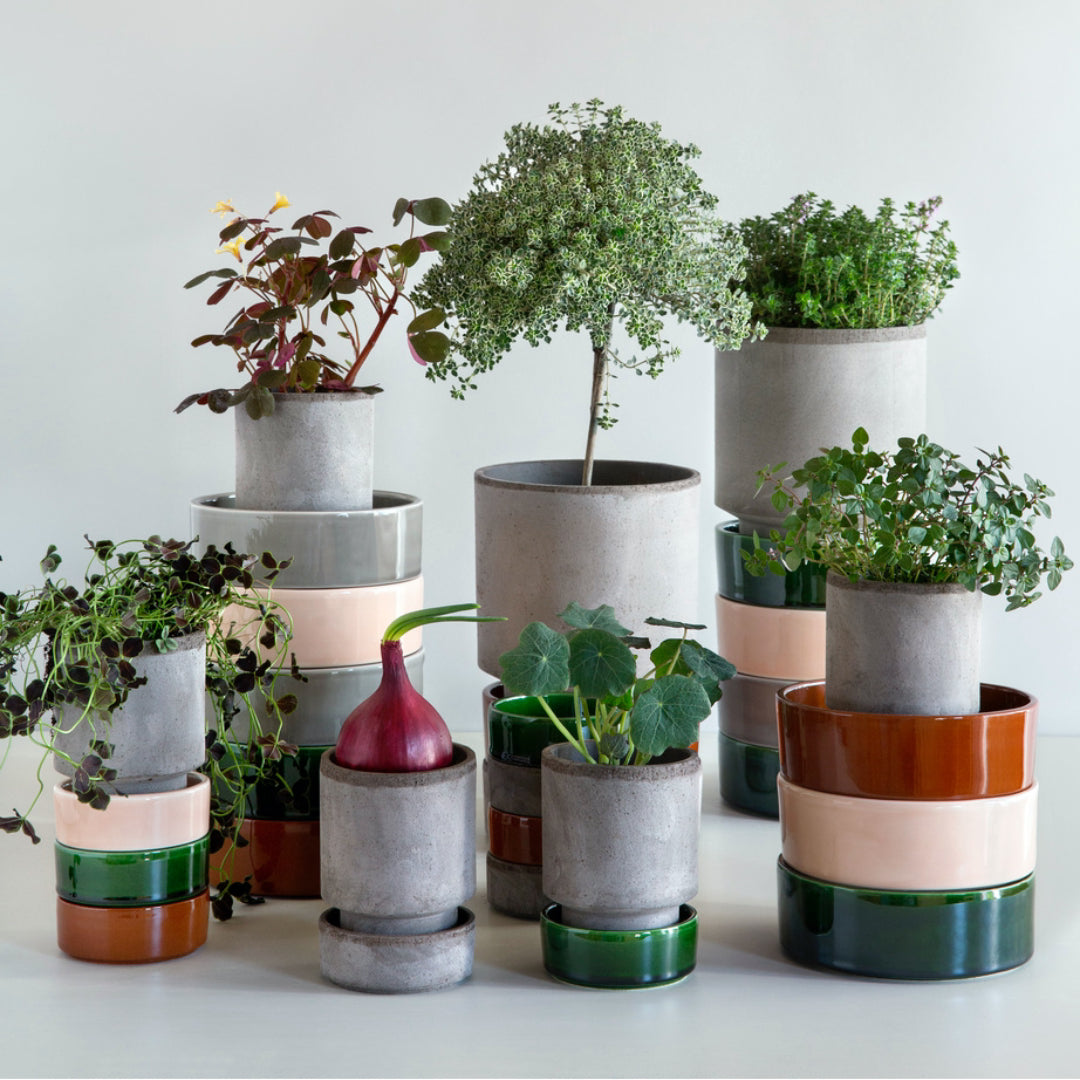 Hoff Raw Pot / Glazed Saucer Set