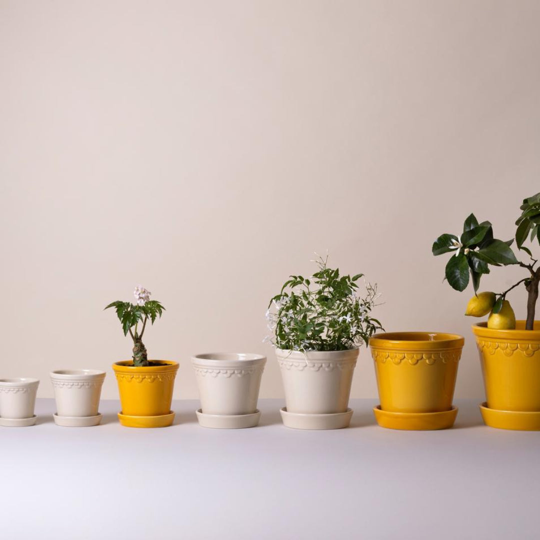 Københavner Glazed Pot