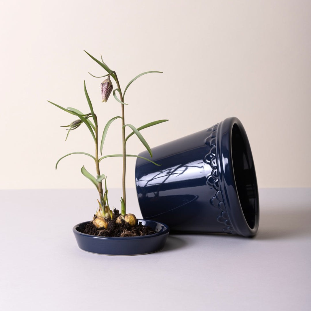 Københavner Glazed Pot