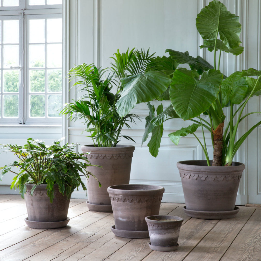 Københavner Raw Pot - Large