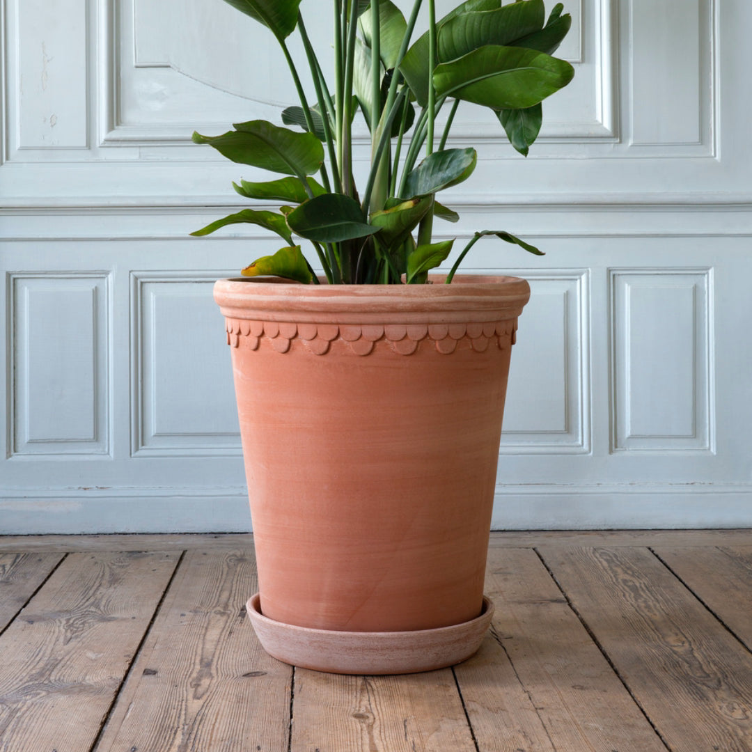 Københavner Raw Pot - Large