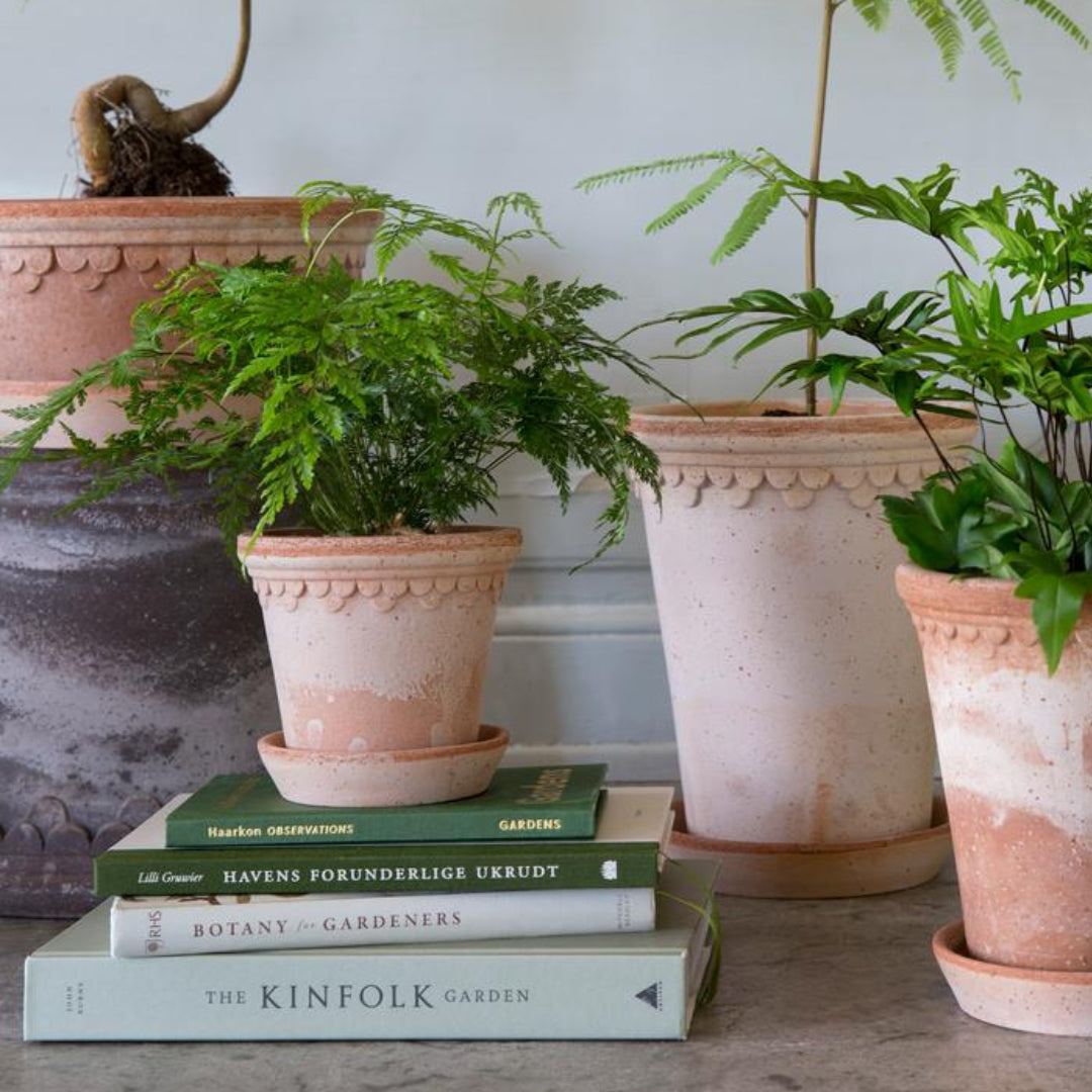 Københavner Raw Pot Ø10 - Set of 3