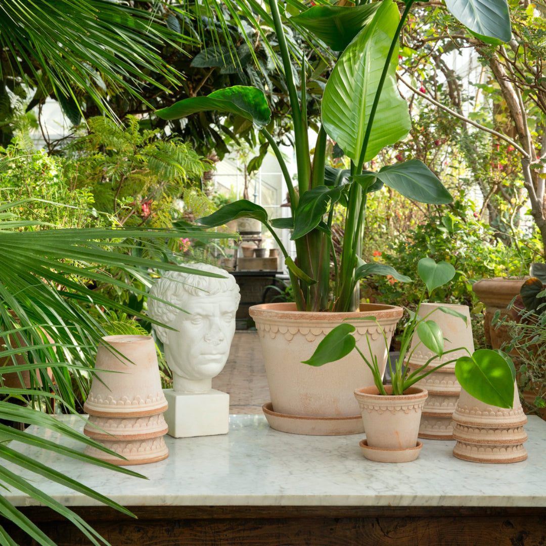 Københavner Raw Pot