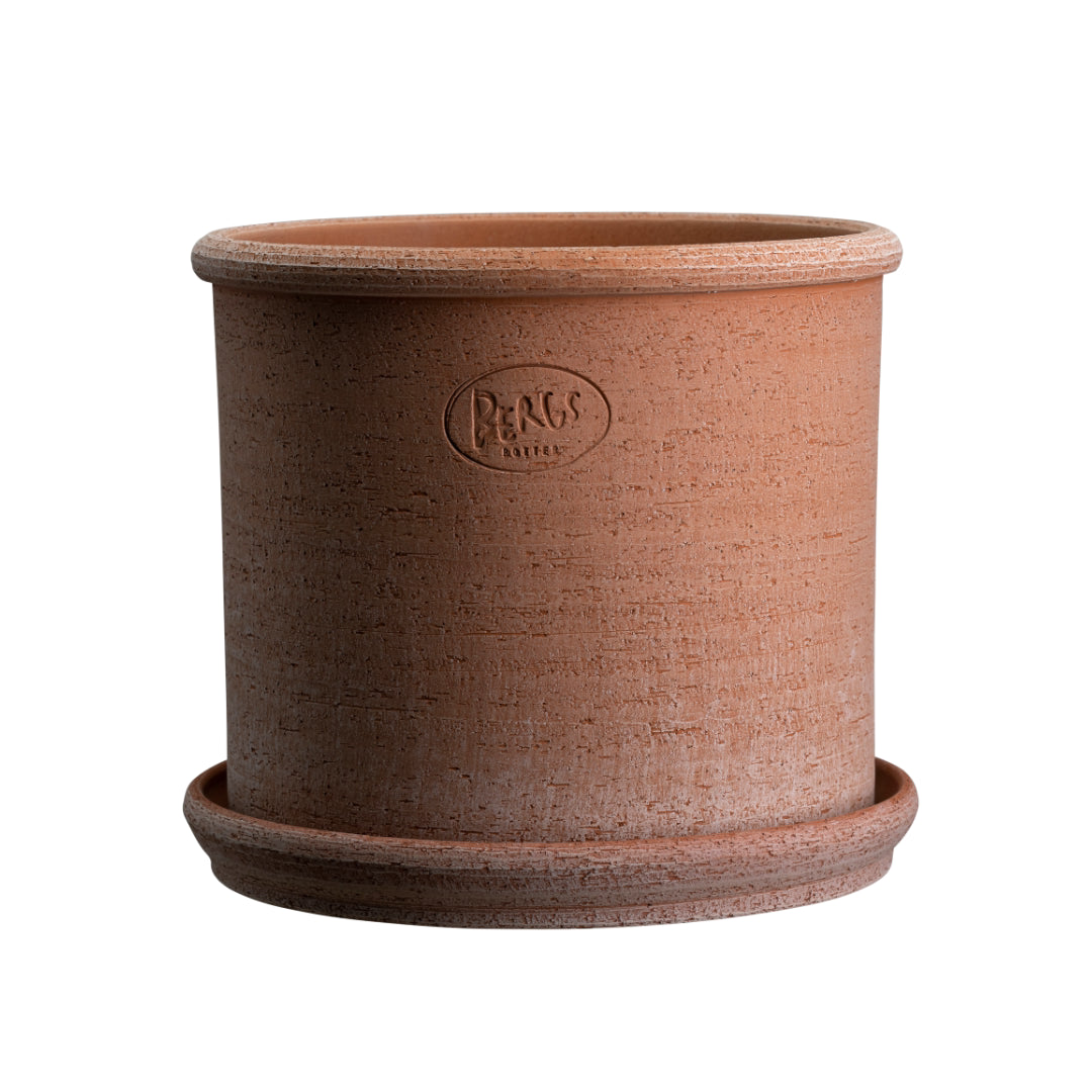 Modena Raw Pot